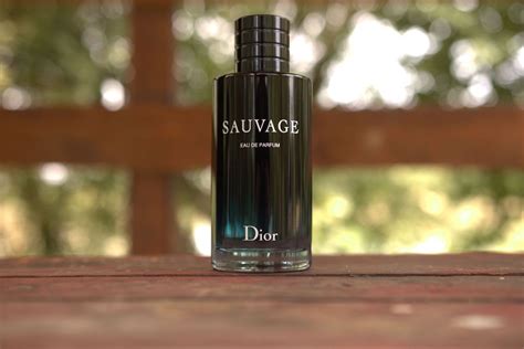 dior sauvage duftbaum|sauvage eau de parfum review.